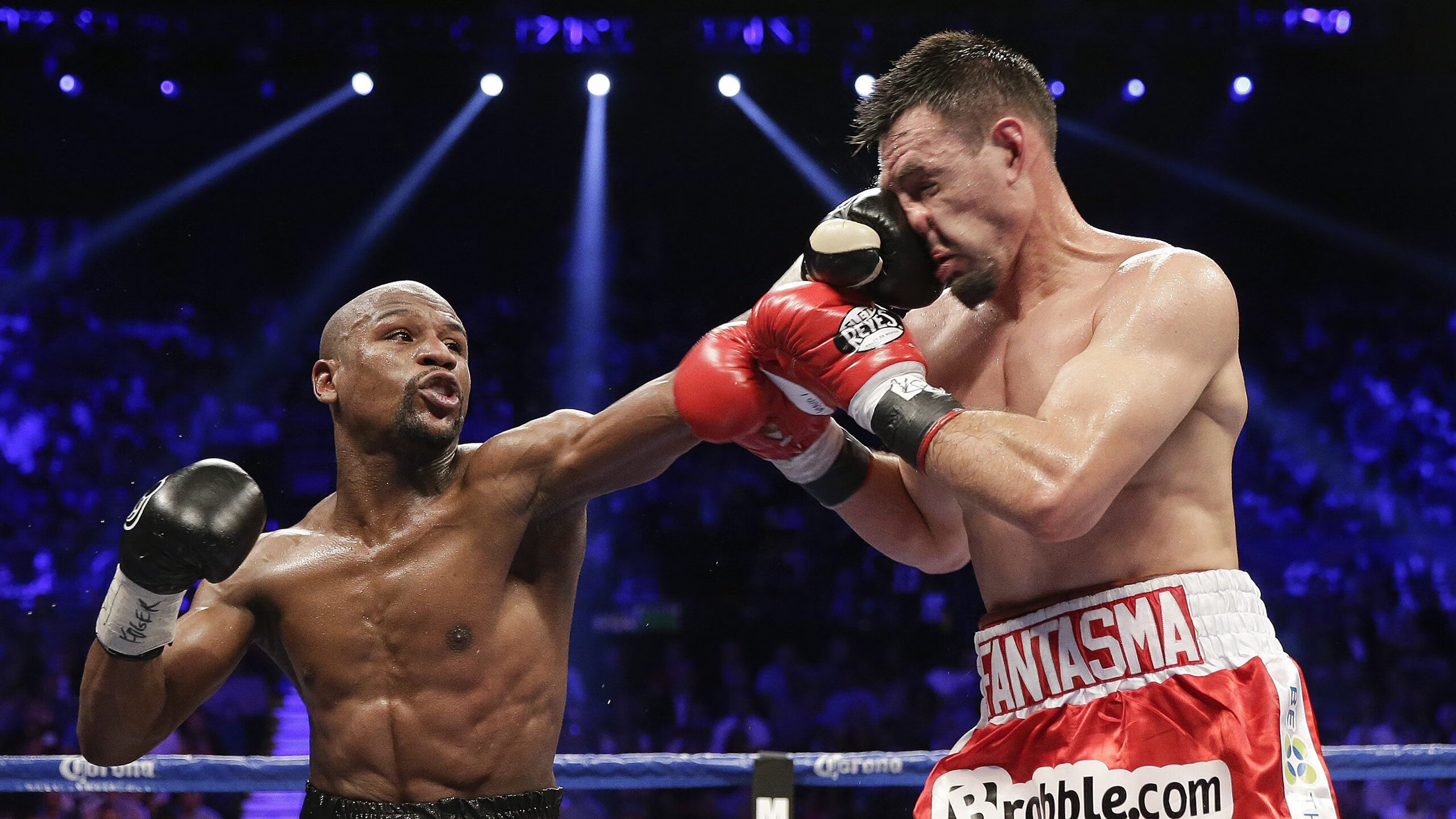 _场外花絮:明星嘉宾到场助威,现场气氛热烈_,明星场外应援是什意思